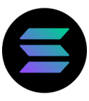 Solana Developers Track logo